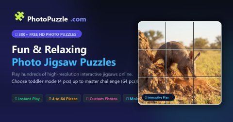 Free Photo Puzzles preview